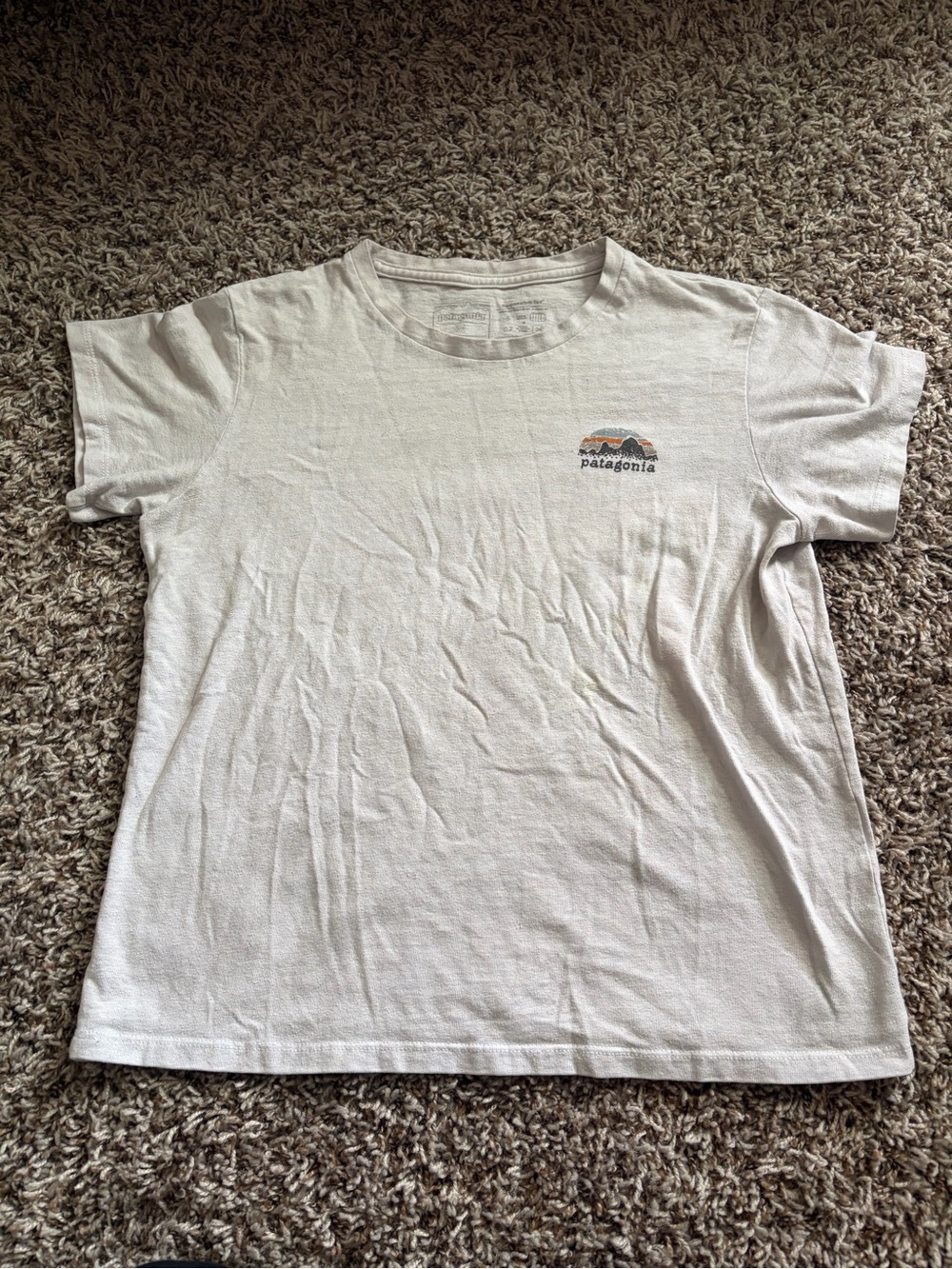 Women’s Patagonia TShirt